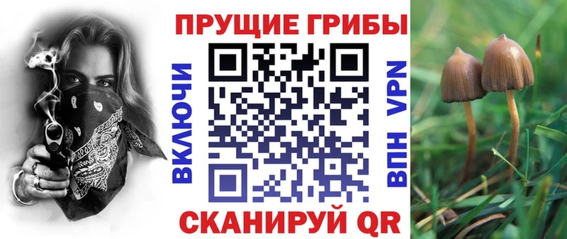 Галлюциногенные грибы GOLDEN TEACHER  Купить закладки  Лиски 